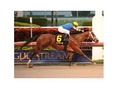 Algorithms
<br><a target="blank" href="http://www.bloodhorse.com/horse-racing/photo-store?ref=http%3A%2F%2Fpictopia.com%2Fperl%2Fgal%3Fprovider_id%3D368%26ptp_photo_id%3D9805691%26ref%3Dstory">Order This Photo</a>