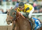 Awesome Gem is the 5-2 favorite in the Berkeley Stakes despite his 12-race losing streak.