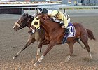 Classic Point Ekes Out Go for Wand Victory Classic Point Ekes Out Go for Wand Victory