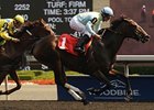 Stars to Shine wins the Ontario Matron Stakes.