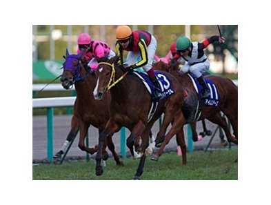 Joie de Vivre takes the Hanshin Juvenile Fillies.
