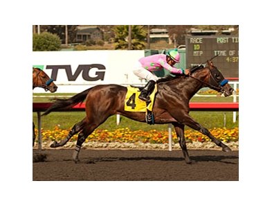 Liaison rolls home to win the Mervyn Leroy Handicap.