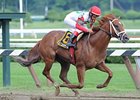 D' Funnybone will likely be the overwhelming favorite for the Futurity.<br><a target="blank" href="http://www.bloodhorse.com/horse-racing/photo-store?ref=http%3A%2F%2Fpictopia.com%2Fperl%2Fgal%3Fprovider_id%3D368%26ptp_photo_id%3D8419329%26ref%3Dstory">Order This Photo</a>