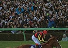 Orfevre wins the Arima Kinen.
<br><a target="blank"
href="http://photos.bloodhorse.com/AtTheRaces-1/at-the-races-2013/27257665_QgCqdh#!i=2983619576&k=8kZHwPX">Order This Photo</a>