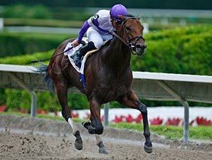 O'Neill Has 'Plan for Ballerina Repeat O'Neill Has 'Plan for Ballerina Repeat