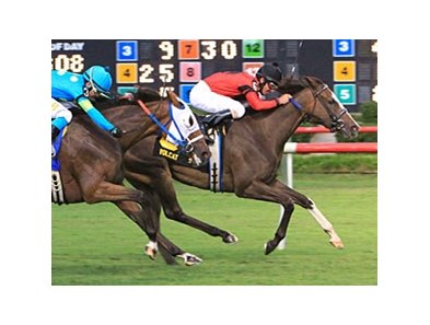 Volcat fends off Filare l'Oro to win the Virginia Oaks.