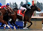 Shadowless emerges with the lead in the Kennedy Road.