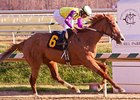 Bold Affair After 3rd Straight Laurel Stakes Bold Affair After 3rd Straight Laurel Stakes