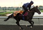 Botti to Saddle Dandino in American St. Leger Botti to Saddle Dandino in American St. Leger