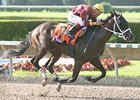 Big Drama Looks For Sweep in Florida Big Drama Looks For Sweep in Florida