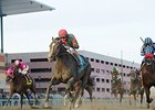Old Pro Flat Out Powers Home in Cigar Mile Old Pro Flat Out Powers Home in Cigar Mile