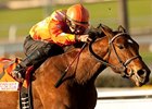 Evening Jewel returned to her winning ways in the Sunshine Millions Distaff.<br><a target="blank" href="http://www.bloodhorse.com/horse-racing/photo-store?ref=http%3A%2F%2Fpictopia.com%2Fperl%2Fgal%3Fprovider_id%3D368%26ptp_photo_id%3D9387855%26ref%3Dstory">Order This Photo</a>