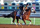 Mr. Z takes on a full field in the Delta Downs Jackpot.<br><a target="blank" href="http://photos.bloodhorse.com/BreedersCup/2014-Breeders-Cup/Works/i-Tq6XGKp">Order This Photo</a>