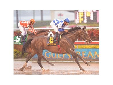 Buddy's Humor takes the Pan American over a stubborn Presious Passion.<br><a target="blank" href="http://www.bloodhorse.com/horse-racing/photo-store?ref=http%3A%2F%2Fpictopia.com%2Fperl%2Fgal%3Fprovider_id%3D368%26ptp_photo_id%3D7930022%26ref%3Dstory">Order This Photo</a>