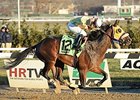 Good Luck Gus, Freudie Anne Win at Aqueduct Good Luck Gus, Freudie Anne Win at Aqueduct