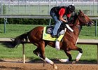 Goldencents<br><a target="blank" href="http://photos.bloodhorse.com/TripleCrown/2013-Triple-Crown/Kentucky-Derby-Workouts/29026796_jvcnn8#!i=2488102764&k=fLPbQLw">Order This Photo</a>