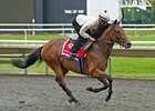 Afsare at Arlington Park.