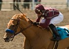 Evita Argentina will carry 120 pounds in the Santa Monica.<br><a target="blank" href="http://www.bloodhorse.com/horse-racing/photo-store?ref=http%3A%2F%2Fpictopia.com%2Fperl%2Fgal%3Fprovider_id%3D368%26ptp_photo_id%3D8341998%26ref%3Dstory">Order This Photo</a>
