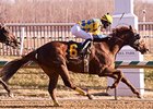 Dynamic Strike won the Miracle Wood Stakes Feb. 9.