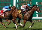 Laughing won the Matchmaker in 2012.
