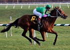 Bsharpsonata seeks her first graded stakes victory in the $150,000 Forward Gal Stakes (gr. II) at Gulfstream Park Feb. 9.