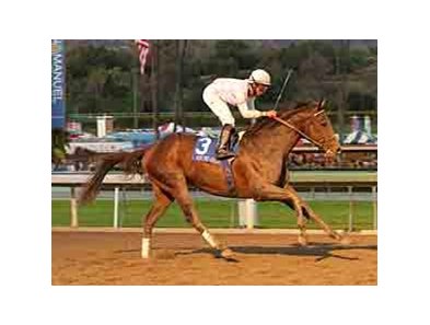 Ron the Greek is the 5-2 favorite in the TVG Jockey Club Gold Cup.