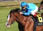 Get Stormy will try to return to the winner's circle in the Fourstardave.<br><a target="blank" href="http://www.bloodhorse.com/horse-racing/photo-store?ref=http%3A%2F%2Fpictopia.com%2Fperl%2Fgal%3Fprovider_id%3D368%26ptp_photo_id%3D8561817%26ref%3Dstory">Order This Photo</a>