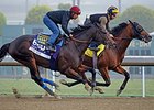 Fed Biz works at Santa Anita 10/27/2013.
<br><a target="blank" href="http://photos.bloodhorse.com/BreedersCup/2013-Breeders-Cup/Breeders-Cup/32986083_QMHXWK#!i=2863397391&k=HZLLbFJ">Order This Photo</a>