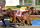 Aegean (#8) gets her nose in front to win the Sunshine Millions Filly & Mare Sprint.<br><a target="blank" href="http://www.bloodhorse.com/horse-racing/photo-store?ref=http%3A%2F%2Fpictopia.com%2Fperl%2Fgal%3Fprovider_id%3D368%26ptp_photo_id%3D9387832%26ref%3Dstory">Order This Photo</a>