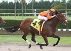 Mad Flatter heads the field for the co-featured Carl G. Rose Classic Handicap.