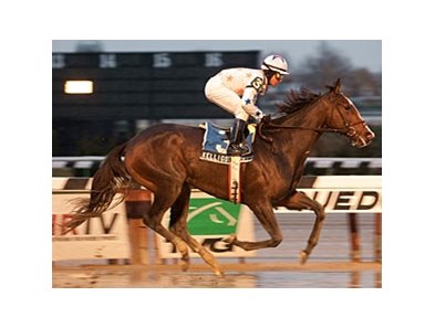 Kelli Got Frosty's win the East View Stakes at Aqueduct increased Frost Giant's progeny earnings to $752,543.<br><a target="blank" href="http://photos.bloodhorse.com/AtTheRaces-1/at-the-races-2012/22274956_jFd5jM#!i=2270456583&k=phsS5Dk">Order This Photo<