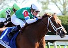 Winning Cause is the 8-5 favorite in the Ontario Derby Sept. 15 at Woodbine.