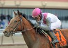 Vyjack<br><a target="blank" href="http://photos.bloodhorse.com/AtTheRaces-1/at-the-races-2013/27257665_QgCqdh#!i=2389525904&k=hHXxXXh">Order This Photo</a>