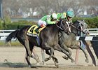 Disposablepleasure (right) outfights Wildcat's Smile to win the Demoiselle Stakes.<br><a target="blank" href="http://www.bloodhorse.com/horse-racing/photo-store?ref=http%3A%2F%2Fpictopia.com%2Fperl%2Fgal%3Fprovider_id%3D368%26ptp_photo_id%3D9754109%26ref%3Dstory">Order This Photo</a>