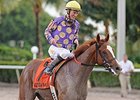Sing Praises will run in the Florida Sire Unbridled Stakes.