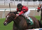String King won the Mr. Sulu Stakes Nov. 23 on the turf at Fair Grounds. <br><a target="blank" href="http://photos.bloodhorse.com/AtTheRaces-1/at-the-races-2013/27257665_QgCqdh#!i=2926417407&k=8RcX3t9">Order This Photo</a>