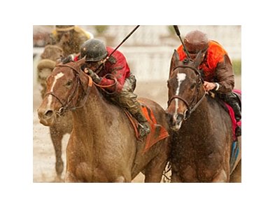 Juniper Pass (left) wins the San Luis Rey Stakes.
<br><a target="blank" href="http://www.bloodhorse.com/horse-racing/photo-store?ref=http%3A%2F%2Fpictopia.com%2Fperl%2Fgal%3Fprovider_id%3D368%26ptp_photo_id%3D9456555%26ref%3Dstory">Order This Photo</a>