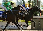 Matt's Broken Vow has been installed as the 9-5 choice in the Canadian Derby (Can-III).
