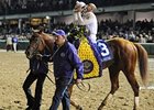 Auction items include memorablia from Drosselmeyer's Breeders' Cup Classic win.<br><a target="blank" href="http://www.bloodhorse.com/horse-racing/photo-store?ref=http%3A%2F%2Fpictopia.com%2Fperl%2Fgal%3Fprovider_id%3D368%26ptp_photo_id%3D9729975%26ref%3Dstory">Order This Photo</a>