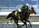 Vow to Wager will face six other 3-year-olds in the Northern Dancer Stakes at Churchill Downs.