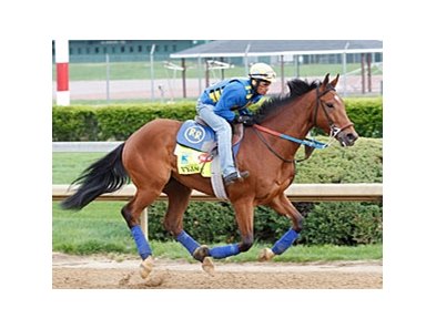Trainer Rudy Rodriguez gallops Vyjack at Churchill Downs on April 23.