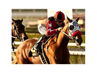 Flashy Ways was a 2 1/2-length winner of the Surfer Girl Stakes Oct. 8.