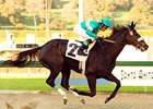 Zenyatta Stings El Encino Rivals Zenyatta Stings El Encino Rivals