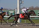 Hold Me Back is among the horses expected for the Kentucky Cup Classic.<br><a target="blank" href="http://www.bloodhorse.com/horse-racing/photo-store?ref=http%3A%2F%2Fpictopia.com%2Fperl%2Fgal%3Fprovider_id%3D368%26ptp_photo_id%3D7989551%26ref%3Dstory">Order This Photo</a>