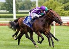 Treasure Beach Game in Secretariat Win Treasure Beach Game in Secretariat Win