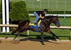 Pioneerof the Nile put in a strong workout April 27 at Churchill Downs. <br><a target="blank" href="http://www.bloodhorse.com/horse-racing/photo-store?ref=http%3A%2F%2Fgallery.pictopia.com%2Fbloodhorse%2Fgallery%2F81492%2Fphoto%2F8045147%2F%3Fo%3D2">Order This Photo</a>