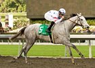 Stardom Bound takes on 13 in the La Canada.<br><a target="blank" href="http://www.bloodhorse.com/horse-racing/photo-store?ref=http%3A%2F%2Fpictopia.com%2Fperl%2Fgal%3Fprovider_id%3D368%26ptp_photo_id%3D7685666%26ref%3Dstory">Order This Photo</a>