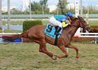 Dayatthespa wins the Sweetest Chant Stakes.
<br><a target="blank" href="http://www.bloodhorse.com/horse-racing/photo-store?ref=http%3A%2F%2Fpictopia.com%2Fperl%2Fgal%3Fprovider_id%3D368%26ptp_photo_id%3D9802444%26ref%3Dstory">Order This Photo</a>