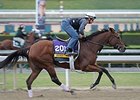 Beholder at Santa Anita<br><a target="blank" href="http://photos.bloodhorse.com/keyword/beholder#!i=2866101154&k=5NwKpCm">Order This Photo</a>