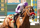 Wake Up Nick, winner of 4 stakes, is among those nominated to the Delta Downs Jackpot.